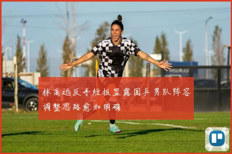 林高远反手短板显露国乒男队阵容调整思路愈加明确