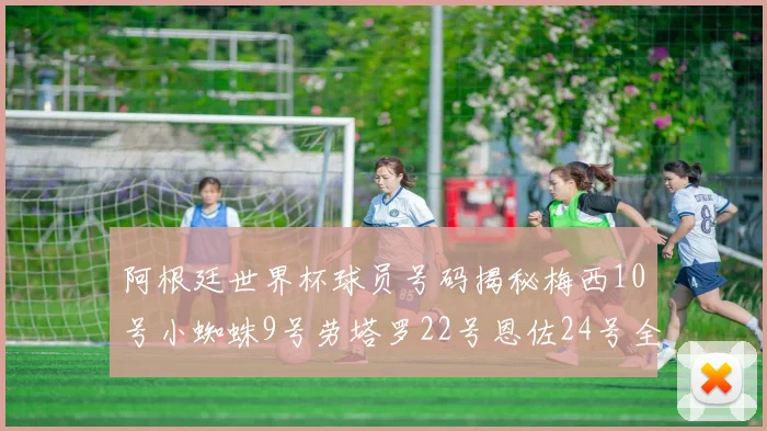 阿根廷世界杯球员号码揭秘梅西10号小蜘蛛9号劳塔罗22号恩佐24号全解析